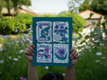 Sowing Season #1 8x10 Print